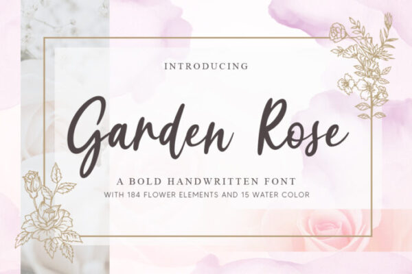 Garden Rose