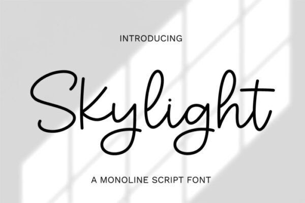 Skylight